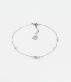 Chaîne De Cheville Clip (Acier)