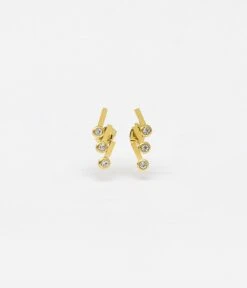 Boucles D'oreilles Arsène (Acier Doré)