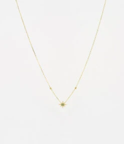 Collier Newton (Acier Doré)