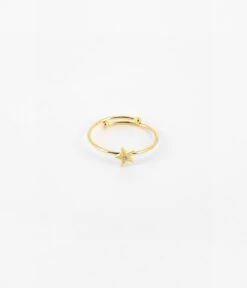 Bague Grande Ours (Acier Doré)