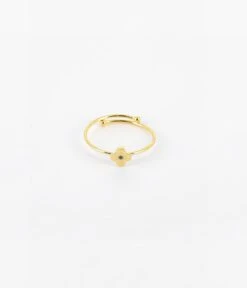 Bague Ruiz (Acier Doré)