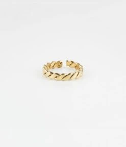 Bague Swan (Acier Doré)