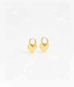 Boucles D'oreilles Aileen (Acier Doré)