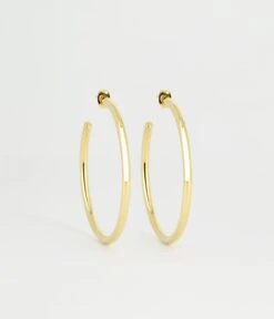 Boucles D'oreilles Aliénora (Acier Doré)