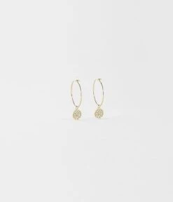 Boucles D'oreilles Fame (Acier Doré)