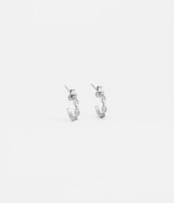 Boucles D'oreilles Fifi (Acier)