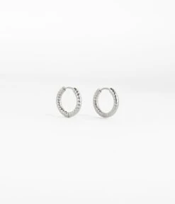 Boucles D'oreilles Hydra (Acier)