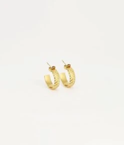 Boucles D'oreilles Lizzy (Acier Doré)