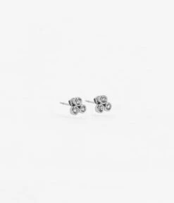 Boucles D'oreilles Puces Tiradente (Acier)