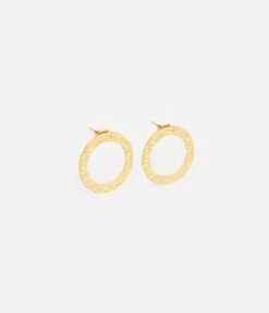 Boucles D'oreilles Ring (Acier Doré)